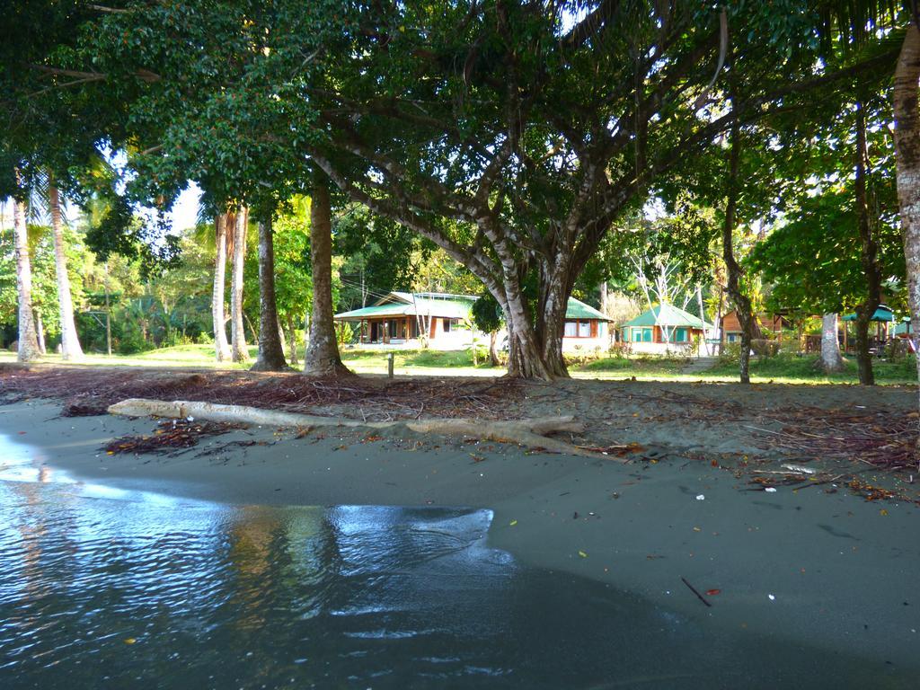 Corcovado Beach Lodge Puerto Jimenez Exterior photo