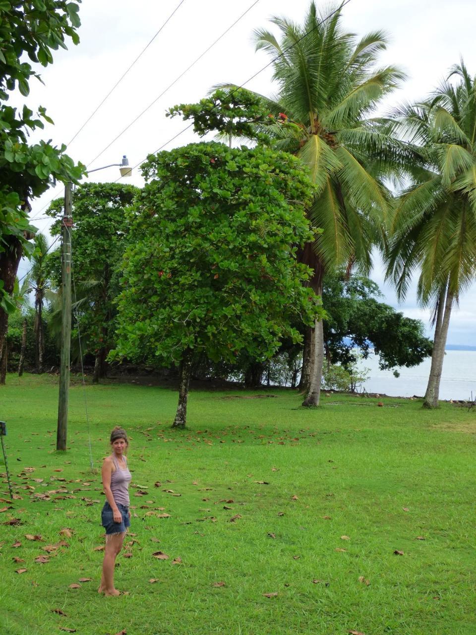 Corcovado Beach Lodge Puerto Jimenez Exterior photo
